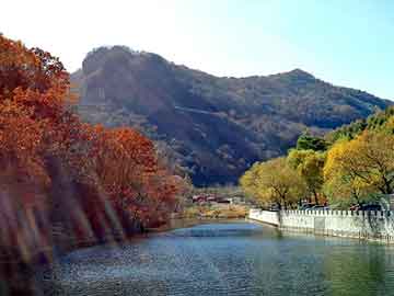 潜水泵保护器，深圳到澳门物流